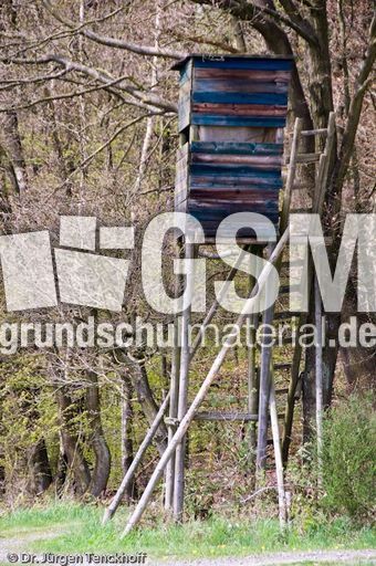 Hochstände (77 von 154).jpg